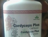 Capsule Cordyceps Plus