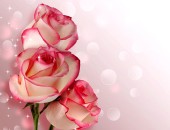 Букет комплимент из голандских роз