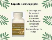 Capsule Cordiceps