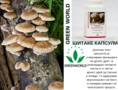 Capsule Shitake Plus