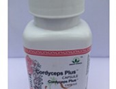 Capsule Cordiceps