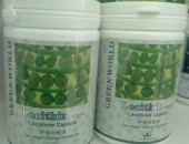 Capsule Lecitina Sotgel
