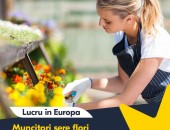 Poți pleca foarte rapid la îngrijirea florilor în Germania!