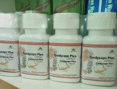 Capsule Cordiceps