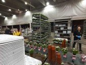 Muncitori la cultivarea florilor. Germania.