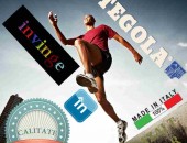 CASA TA "TEGOLA" OFICIAL IMPORTOR DIN ITALIA