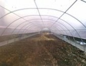Peliculă pentru sere. Grosimea de la 0,15 mm până la 3 mm.